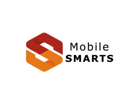 Mobile SMARTS: Магазин 15, МИНИМУМ для «1С:Розница 2»